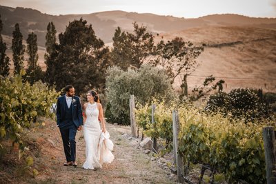 Sunset Viansa Sonoma Wedding Photographers