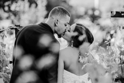 Vineyard Kiss Napa Wedding Photographers