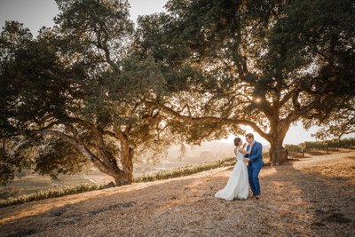 Kunde Winery Wedding Sunset