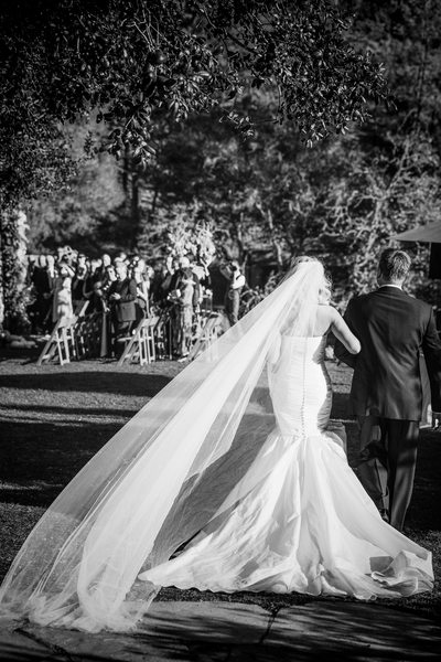 Best Wedding Photographers Calistoga Ranch