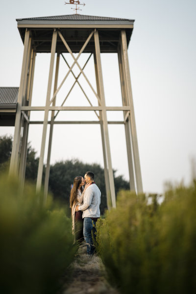Carneros Resort Spa Wedding Engagement Photographers