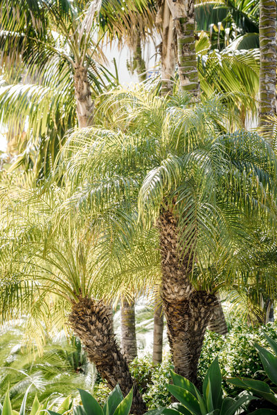 Bacara Resort Santa Barbara Wedding Photography