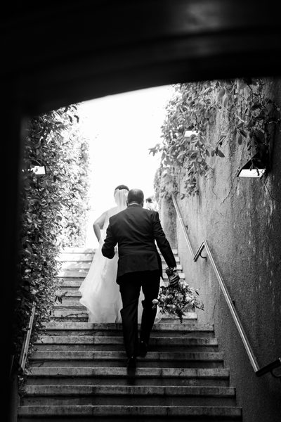 Viansa Wedding Photographer