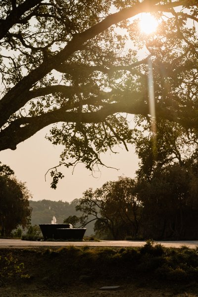 Montage Healdsburg Hotel Wedding Photographers