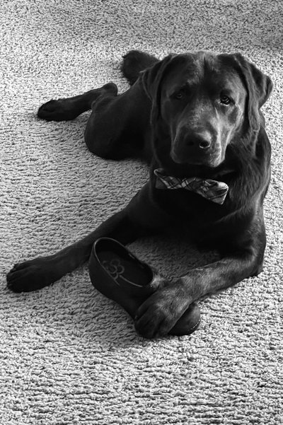 Satyr Dog Boudoir Photography
