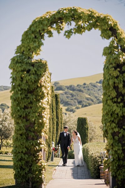 Timeless Viansa Sonoma Wedding Photographer