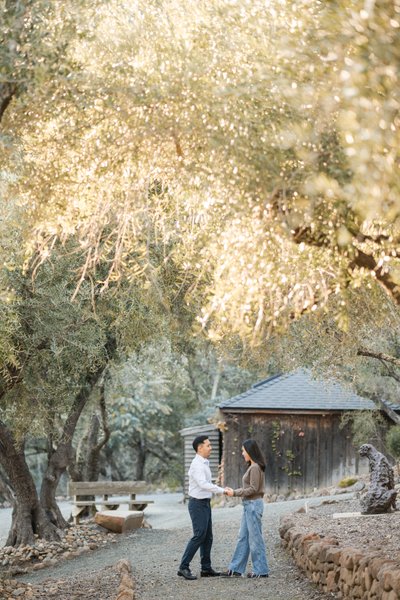 Auberge du Solei Proposal Photographer Napa