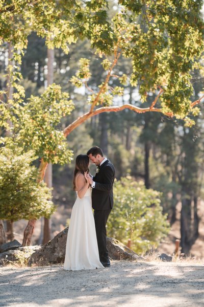 Black Tie Blair Spangler Farmhouse Wedding Photographer
