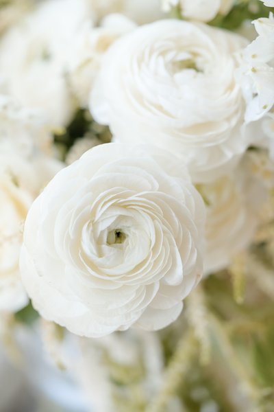 Top Montage Healdsburg Wedding Photographers