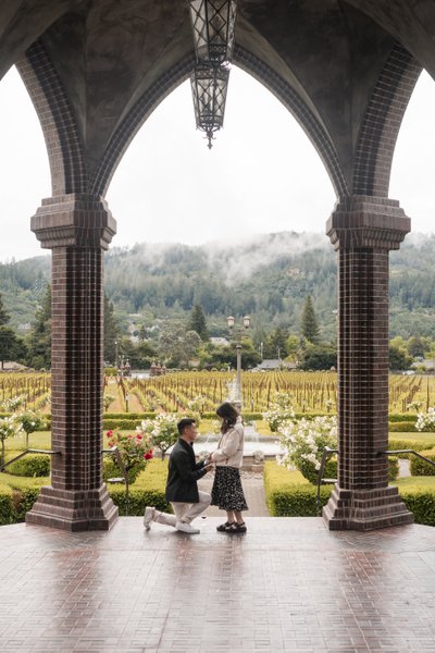 Luxury Engagement Photographer Ledson Winery
