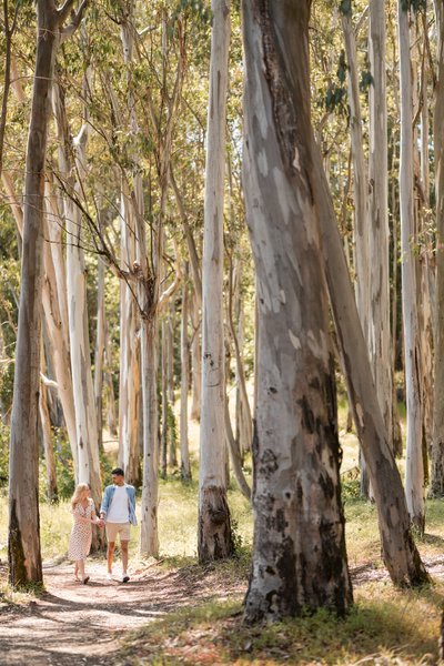 Luxury Engagement Photographer Sonoma