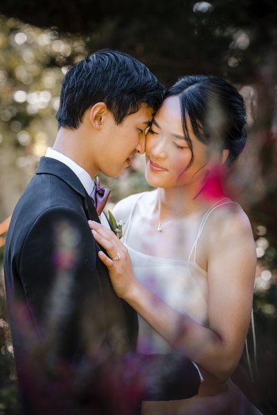 Wedding and Elopement Photographers Napa 