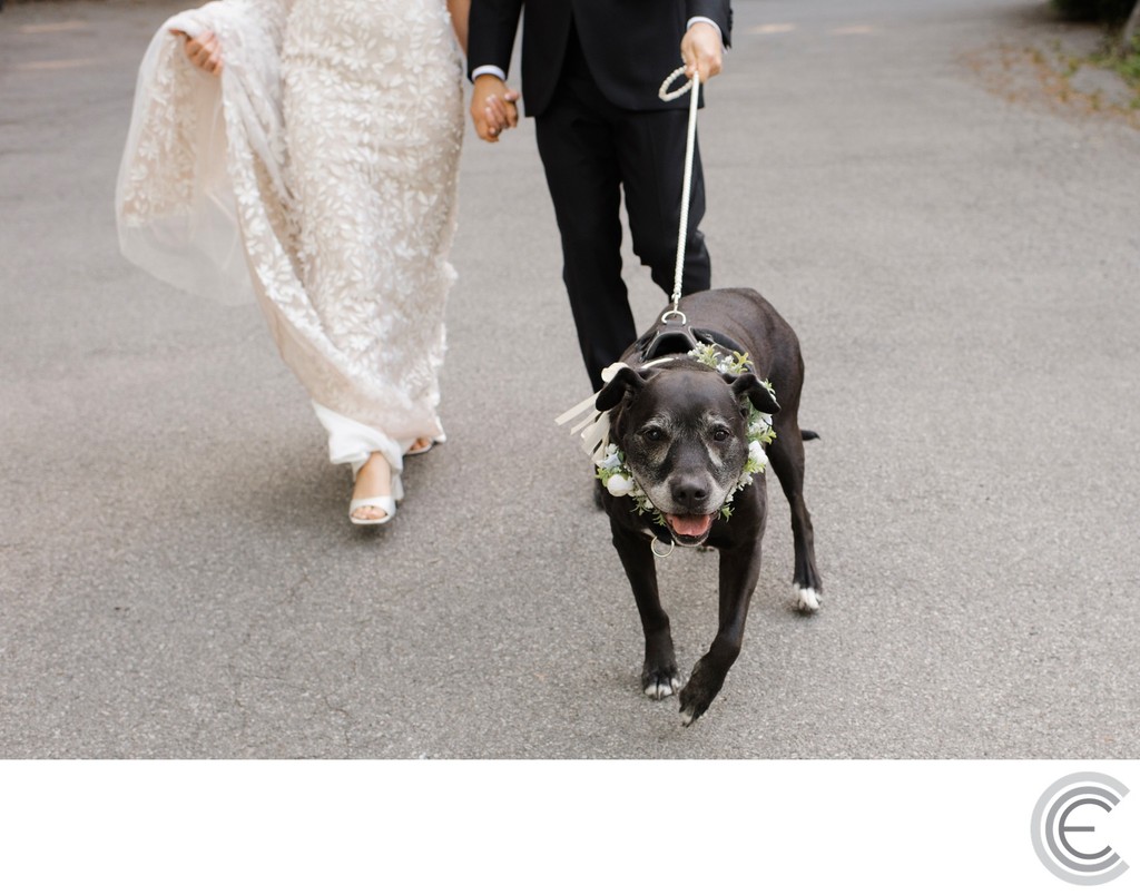 Crabtree's Kittle House Wedding