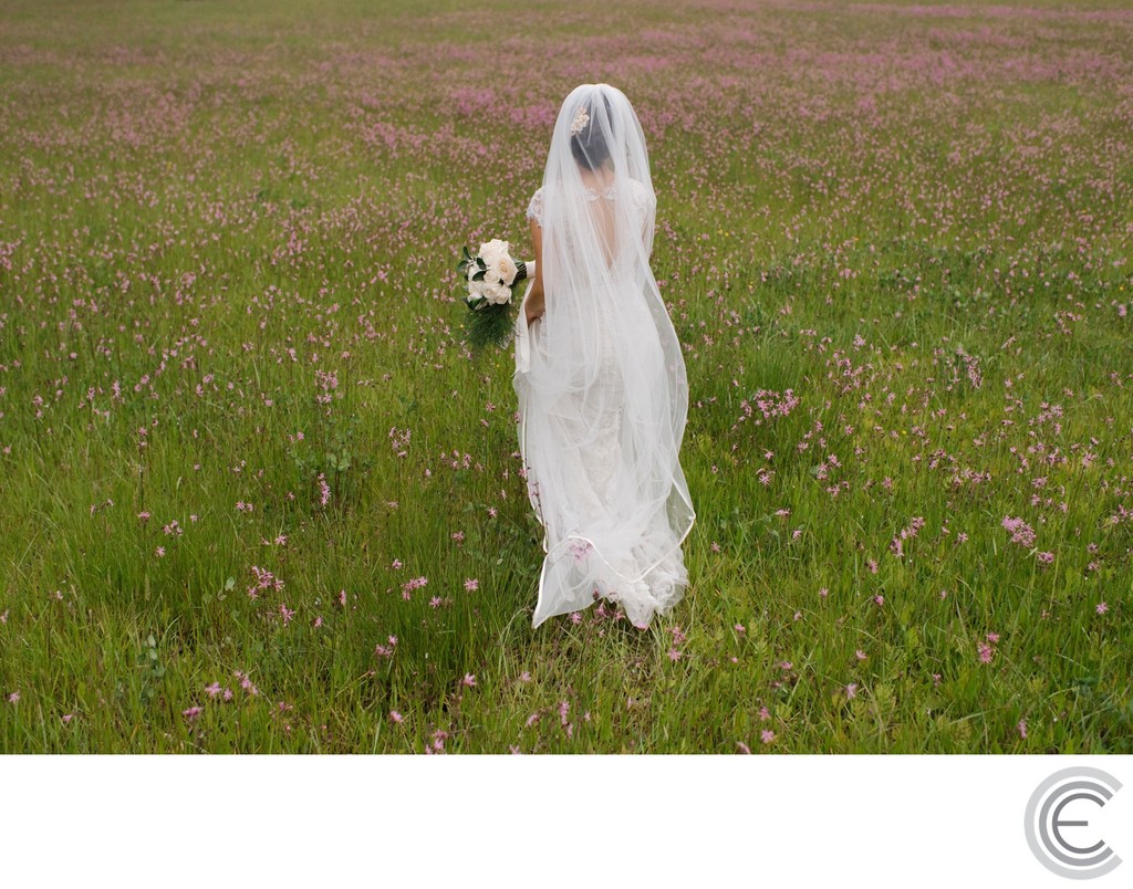 Pine Hills Golf Course Wedding