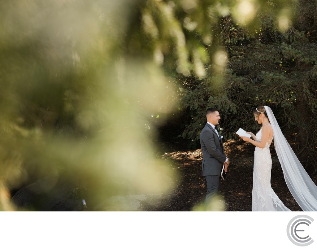 The Lodge Skaneateles Wedding