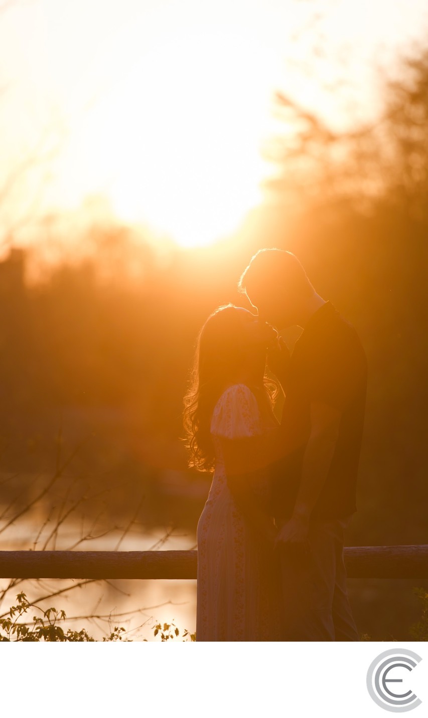 Cornell Botanic Gardens Engagement Photos