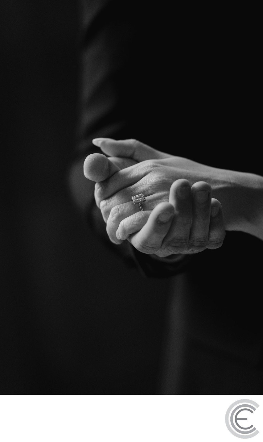 NY Capitol Albany NY engagement photos