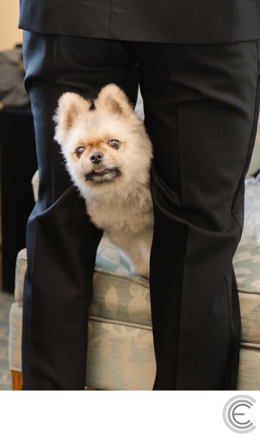 Fall Wedding at The Otesaga Resort Hotel Cooperstown New York