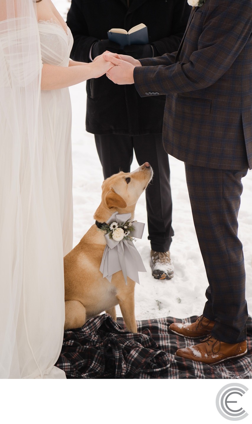 Schroon Lake Winter Wedding