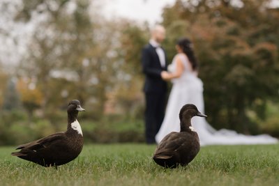 Hall of Springs Wedding