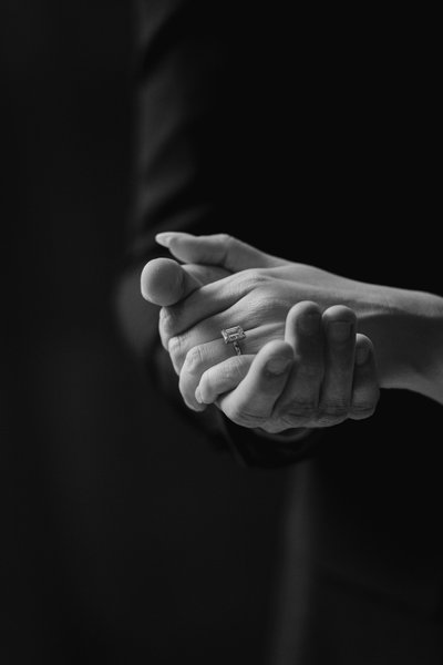 NY Capitol Albany NY engagement photos