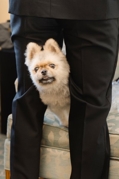 Fall Wedding at The Otesaga Resort Hotel Cooperstown New York