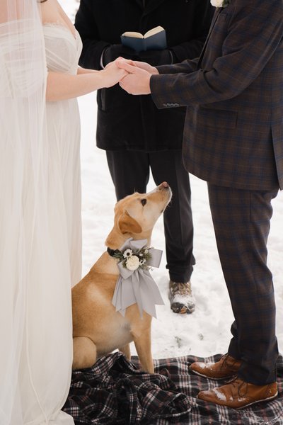 Schroon Lake Winter Wedding