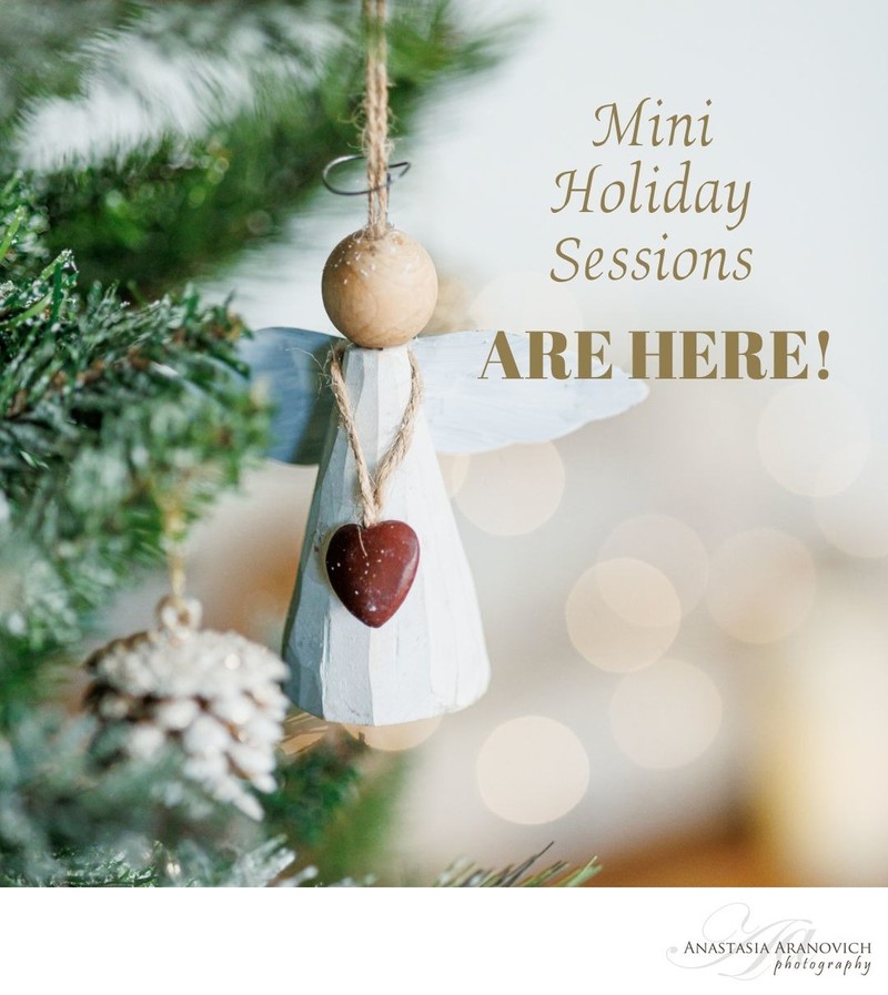 Mini holiday session 2024 - 1