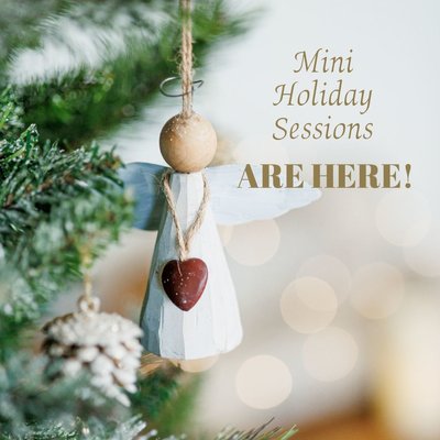 Mini holiday session 2024 - 1