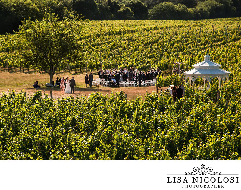 Pellegrini Vineyards Wedding Ceremony Photo