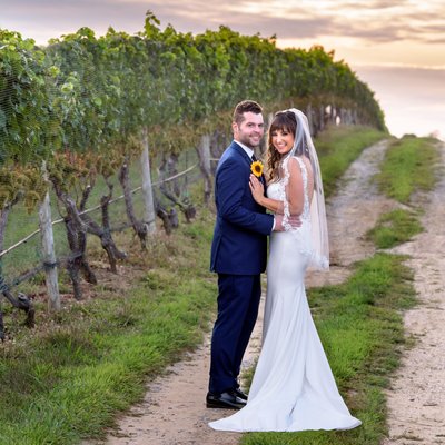 Pellegrini Vineyards Wedding Photographer