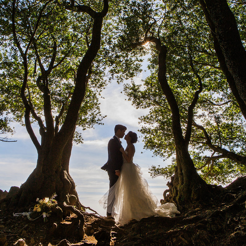 Lake Tahoe Wedding And Portrait Photographers