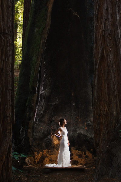 Outdoor Wedding in the Redwood Forest of Mendocino