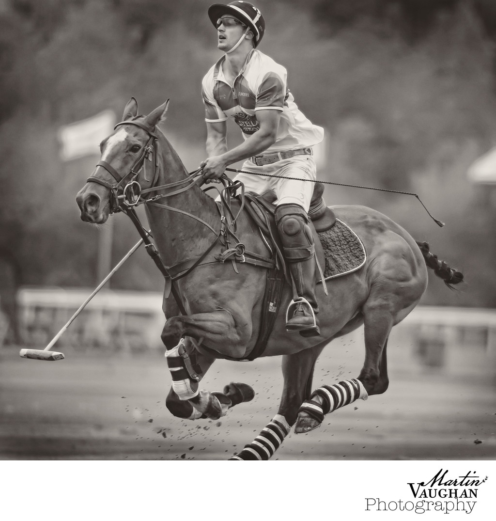 Polo images at Chester Racecourse 
