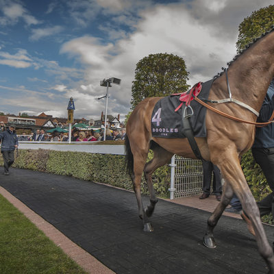 The Paddock photographs at chester races