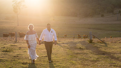 Bride and Groom at sunset at a Hinterland Farm with cows