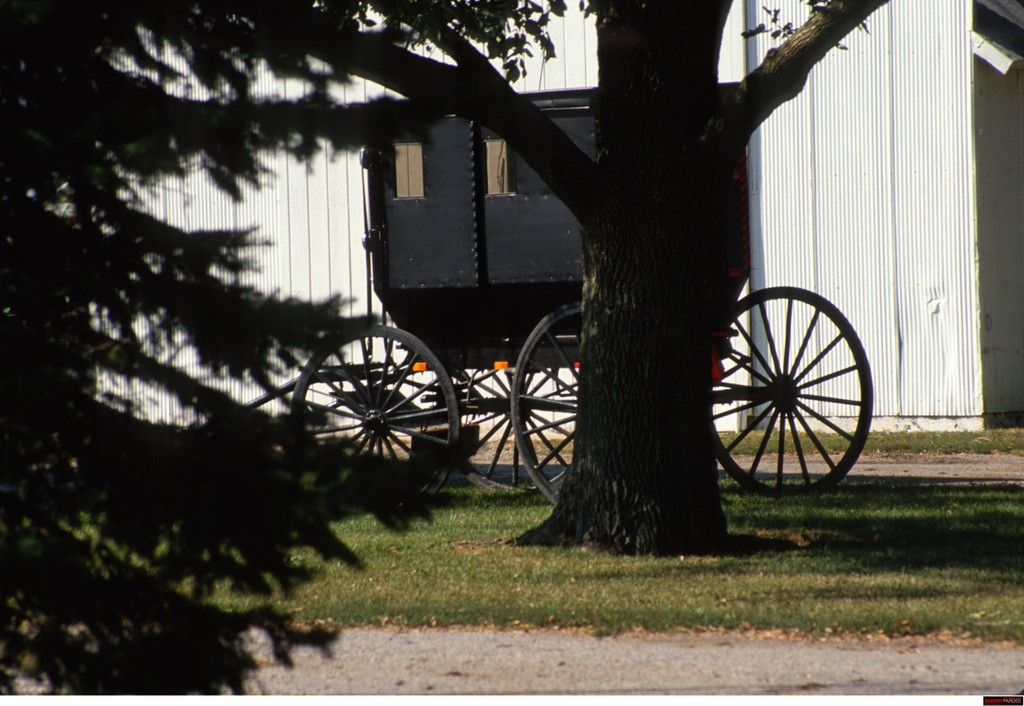 Amish Photographs