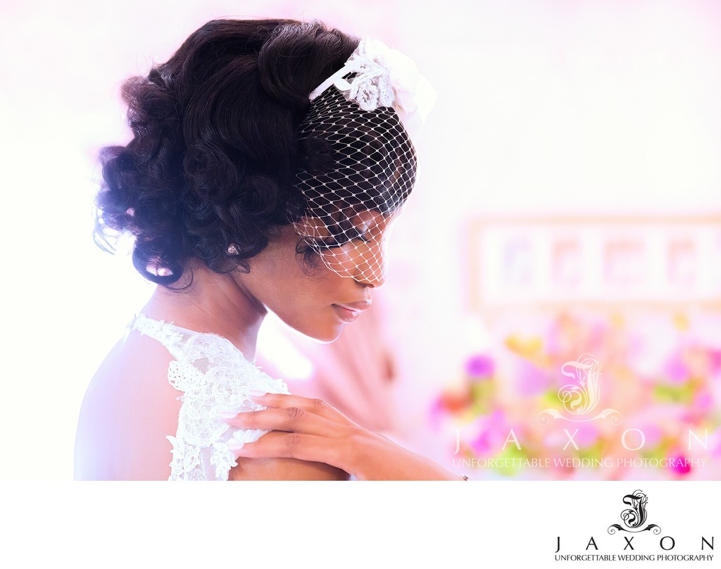 Elegant Bride in Birdcage Veil