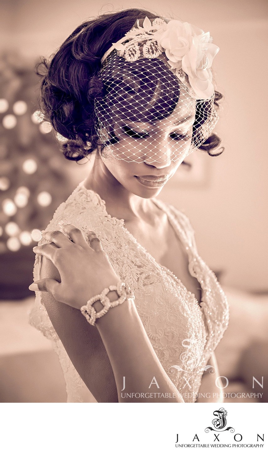 Sepia Bridal Portrait in Galina Signature Gown