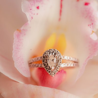 Diamond Orchid: Capturing Elegance in Atlanta