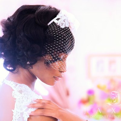 Elegant Bride in Birdcage Veil