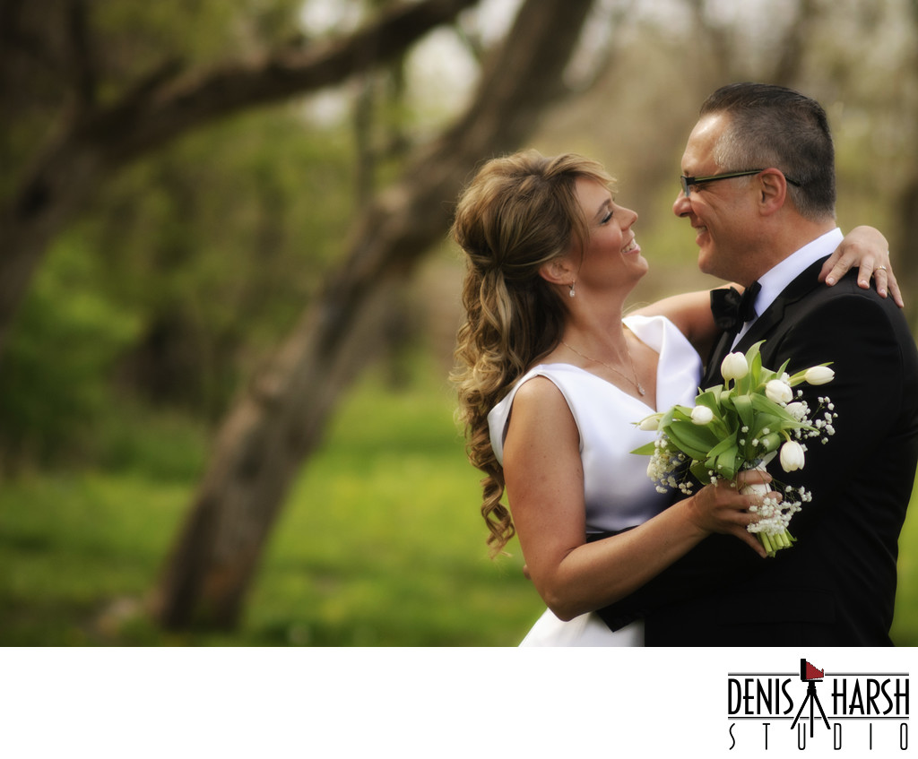 Peoria Wedding Photographers Starved Rock Bloomington