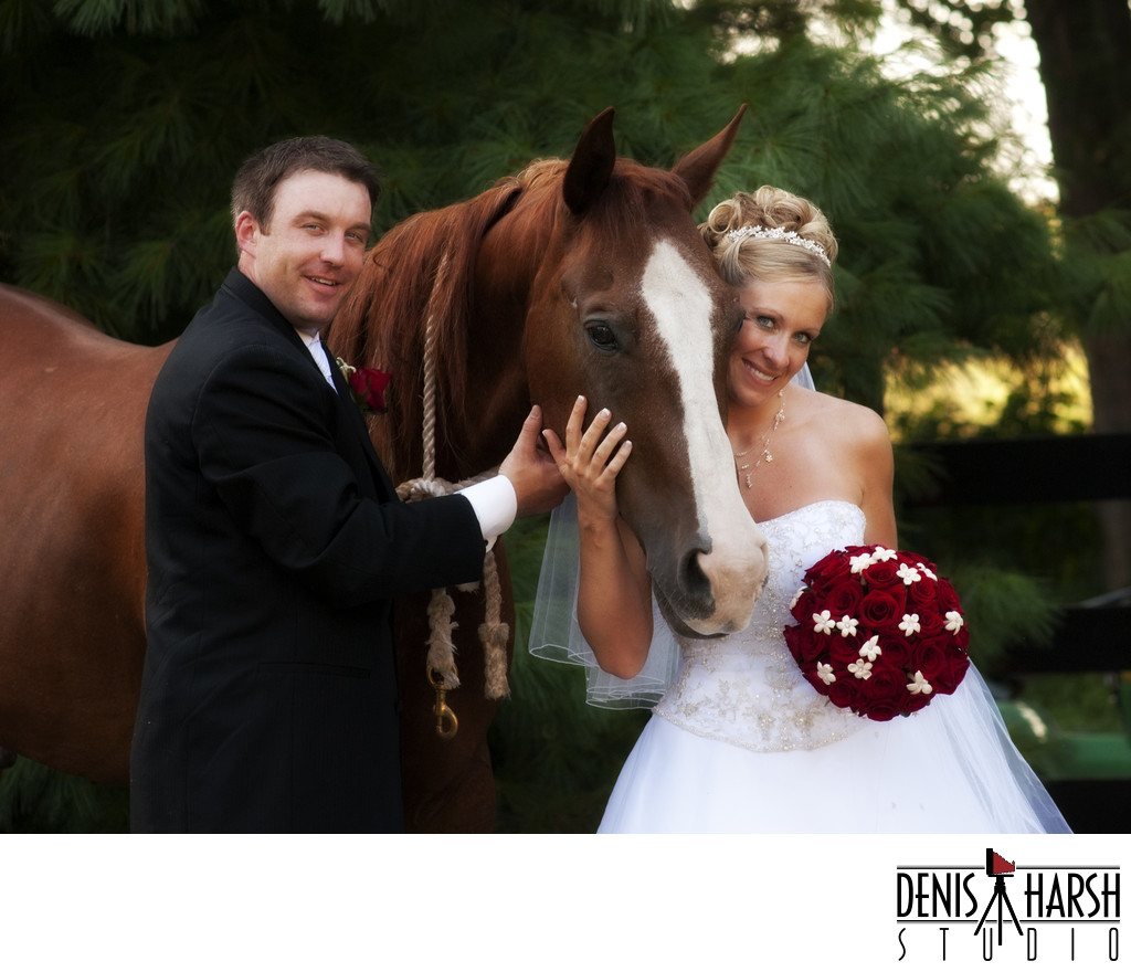 Wedding Photography Bloomington Starved Rock El Paso