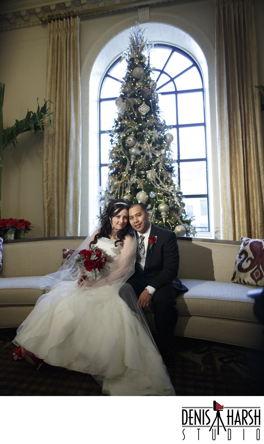 Peoria Photographers Wedding Pere Marquette Christmas Tree