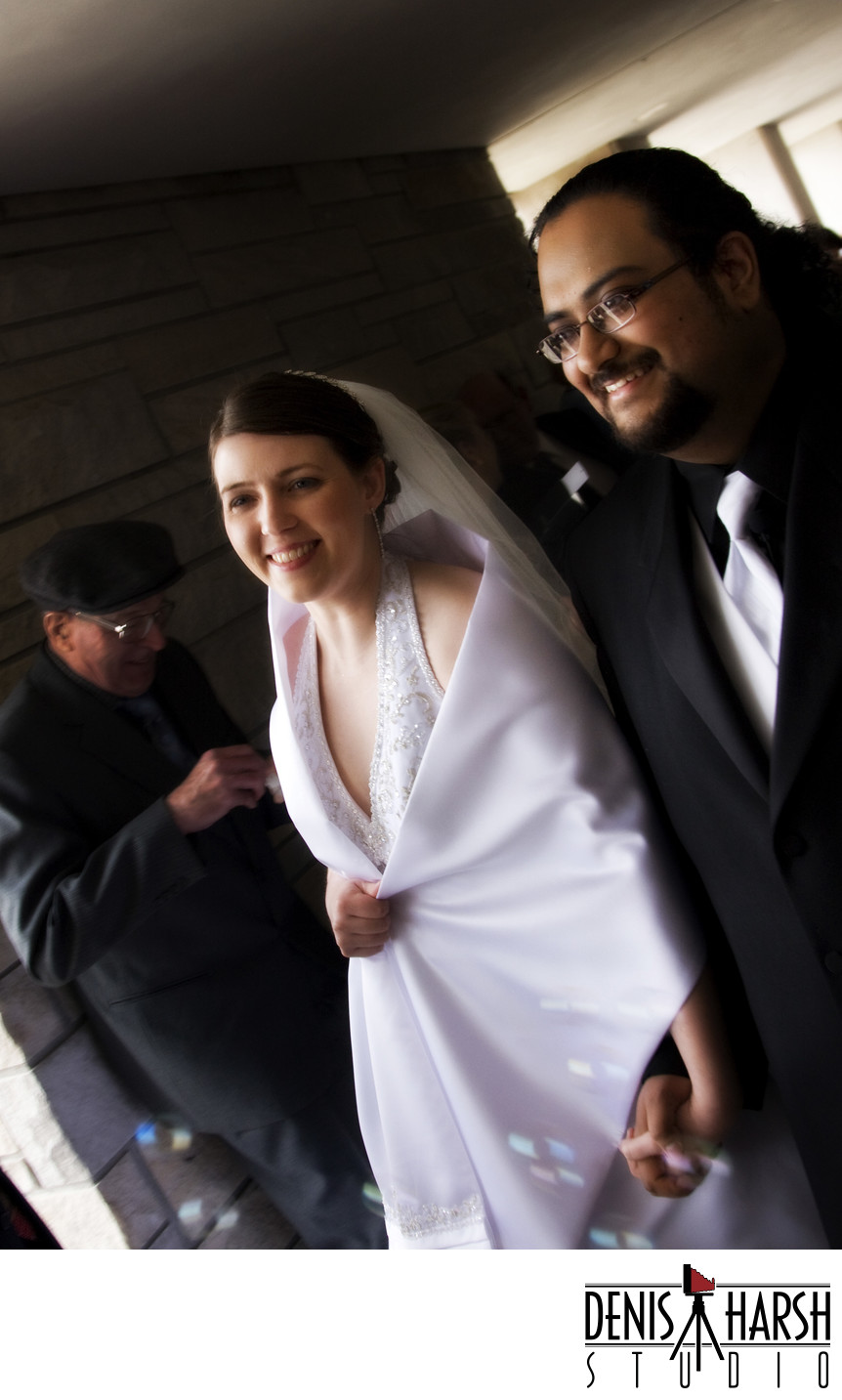 Wedding Photography Normal Bloomington Champaign