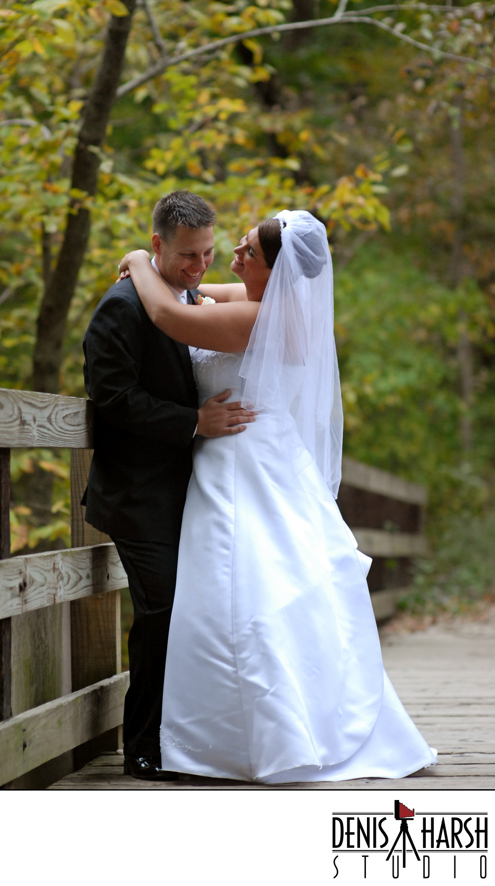 Starved Rock Photographers Wedding LaSalle Ottawa Pontiac