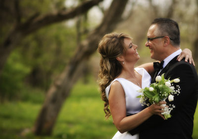 Peoria Wedding Photographers Starved Rock Bloomington