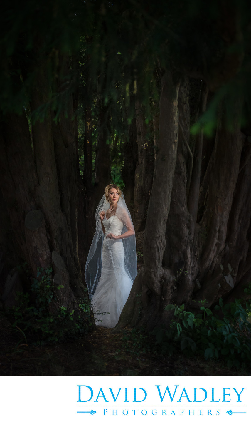 Bride in forest at Nailcote Hall.