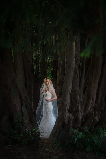 Bride in forest at Nailcote Hall.
