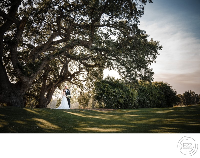 Best Wedding Photographers Sacramento Couple Under Tree